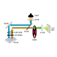 什么是熒光定量PCR、數(shù)字PCR？