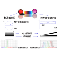 線性漸變?yōu)V光片是什么？有何特點(diǎn)？