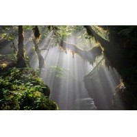 光的干涉、衍射、折射、反射、散射